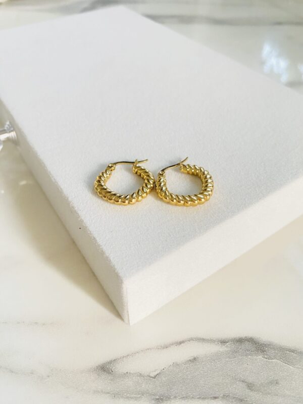 Small Hoop Earrings - Image 2