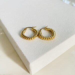 Small Hoop Earrings